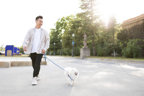 Happy young Asian man in casual clothes with adorable white Pomeranian Spitz dog walking in the park in sunny day - ADSF45797