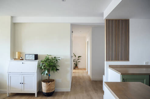 Interior design of living room with laminated floor furnished with cabinet and potted plants while top tables on side near wall with planks decoration - ADSF45843