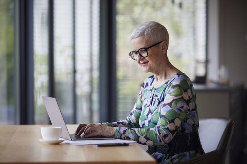 Senior woman using laptop at table at home - RBF09198