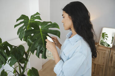 Young woman spraying water on houseplant at home - ALKF00498