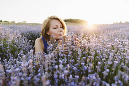 Lächelnde Frau riecht an Lavendelblüten in einem Feld bei Sonnenuntergang - SIF00747