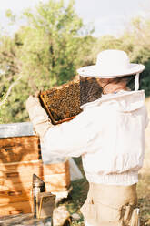 Back view of unrecognizable male beekeeper wearing protective costume standing in apiary with part of hive - ADSF45874