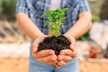 Crop unrecognizable female in casual clothes holding handful of soil and plant in hands during transplanting process in garden at daylight - ADSF45881