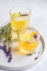 High angle of summer cocktail with vodka and lavandula served in glasses with ice and lime slice on white plate on blurred background - ADSF45886