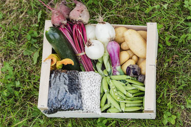 Top view of boxful of vegetables of fresh organic potatoes spring onions beetroots zucchini with flower peas vitelotte and seeds in covers placed on grass field in daylight - ADSF46012