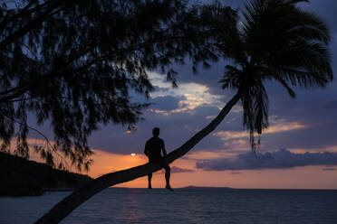 Back view of silhouette of anonymous male looking away while sitting on palm tree trunk on sandy beach in Madagascar near waving sea against sunset - ADSF46077