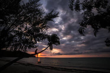 Side view of silhouette of anonymous male looking away while sitting on palm tree trunk on sandy beach in Madagascar near waving sea against sunset - ADSF46078