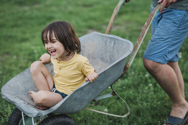 Laughing boy sitting in wheelbarrow pushed by father - ANAF01895