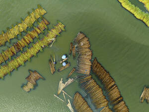 Aerial view of farmers busy processing jute in water, Natore, Bangladesh. - AAEF19398