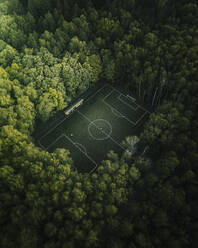 Aerial view of football field hidden in forest outside of Moscow, Russia. - AAEF19420