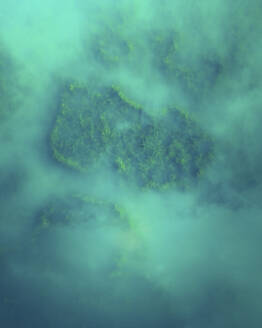 Aerial view of plants in swamp in Antalya, Turkey. - AAEF19430