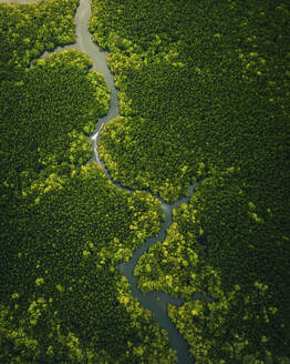 Aerial view of speed boat cruising along the river in Phang Nga Bay, Thailand. - AAEF19435