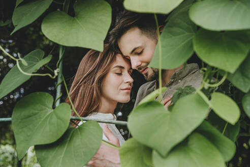 Romantisches Paar, das sich inmitten von Pflanzen umarmt - YTF00912