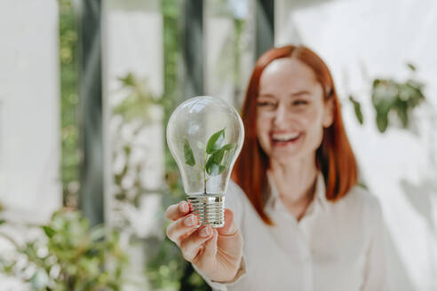 Smiling businesswoman holding light bulb with leaves in office - YTF00982