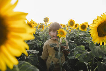 Lächelnder Junge, der sein Auge mit einer Sonnenblume bedeckt, steht auf einem Feld - ALKF00510