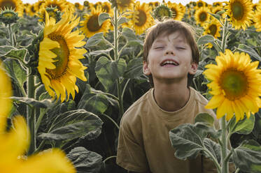 Unbekümmerter Junge mit geschlossenen Augen in einem Sonnenblumenfeld - ALKF00511