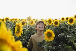 Fröhlicher Junge lachend inmitten von Blumen in einem Sonnenblumenfeld - ALKF00512