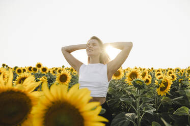 Frau mit Händen hinter dem Kopf in einem Sonnenblumenfeld stehend - ALKF00513