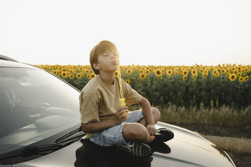 Boy blowing bubbles sitting on car hood in front of sunflower field - ALKF00519