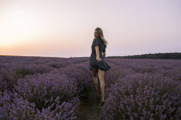 Frau schaut über die Schulter und geht inmitten von Blumen in einem Lavendelfeld - ALKF00524