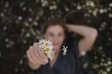 Woman holding bunch of daisies - ALKF00532