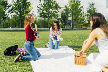 Glückliche Freunde bereiten sich auf ein Picknick im Park an einem sonnigen Tag vor - MEUF09159