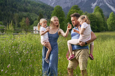 Familie im Urlaub auf dem Rasen - NJAF00484