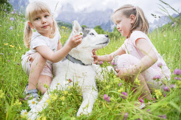 Girls playing with dog sitting on grass - NJAF00487