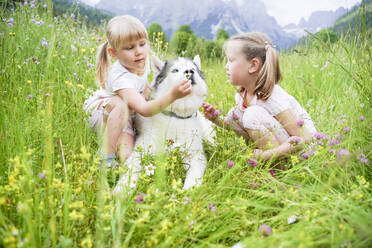 Girls spending leisure time with dog sitting on grass - NJAF00488