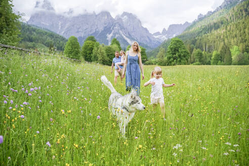 Familie beim Spaziergang mit Hund inmitten von Blumen vor Bergen - NJAF00492