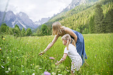 Woman picking flowers with daughter standing amidst plants - NJAF00493