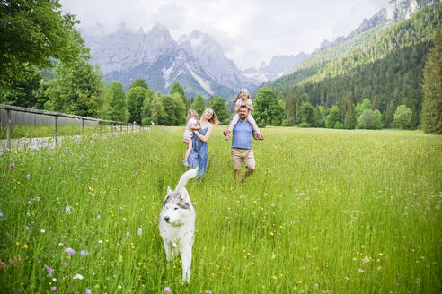 Familie im Urlaub mit Hund auf der Wiese vor den Bergen - NJAF00500