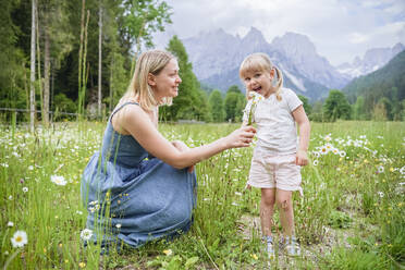 Smiling woman giving bunch of daisies to daughter standing amidst plants - NJAF00522