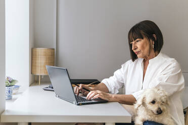Älterer Freiberufler, der am Laptop arbeitet und mit seinem Hund zu Hause sitzt - PBTF00119
