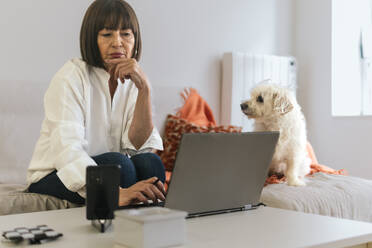 Hund schaut auf nachdenklichen älteren Freiberufler, der am Laptop arbeitet - PBTF00121