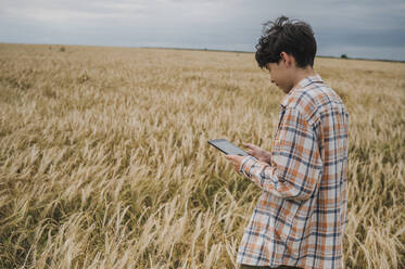 Jugendlicher mit Tablet-PC in einem Weizenfeld - ANAF01903