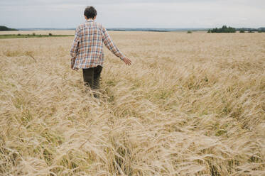 Teenage boy walking through wheat field - ANAF01904