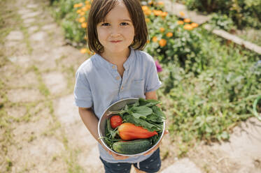 Lächelnder Junge hält Schüssel mit frischem Bio-Gemüse - ANAF01914