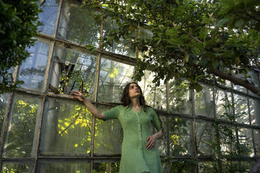 Nachdenkliche Frau vor der Glaswand eines Gewächshauses im Garten stehend - YBF00070