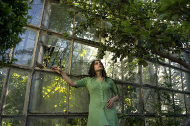 Thoughtful woman standing in front of glass wall of greenhouse in garden - YBF00070