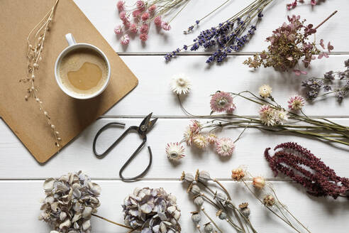 Tasse Kaffee, Schere und verschiedene Arten von Trockenblumen auf weiß lackiertem Holz liegend - EVGF04345