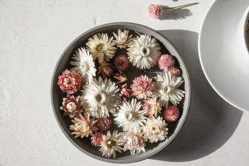 Studio shot of bowl of dried flower heads - EVGF04354
