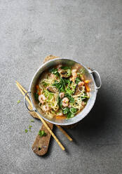 Studio shot of homemade ramen bowl with shrimps, coriander and spinach - KSWF02367