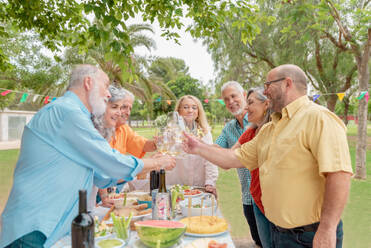 Group of positive middle aged male and female friends clinking wineglasses while celebrating birthday in park - ADSF46521
