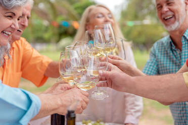Group of positive middle aged male and female friends clinking wineglasses while celebrating birthday in park - ADSF46522