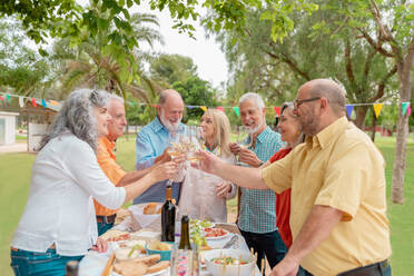 Group of positive middle aged male and female friends clinking wineglasses while celebrating birthday in park - ADSF46523