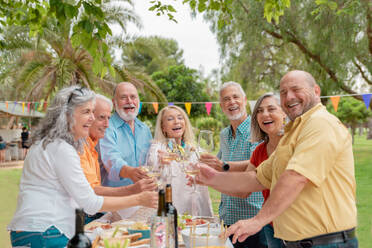 Group of positive middle aged male and female friends clinking wineglasses while celebrating birthday in park - ADSF46524