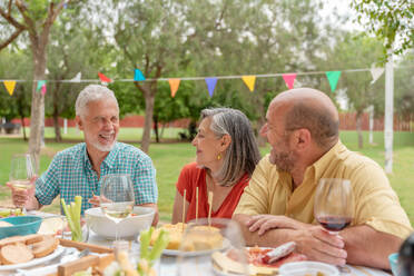 Group of middle aged friends eating assorted food and drinking wine while celebrating birthday in park - ADSF46526