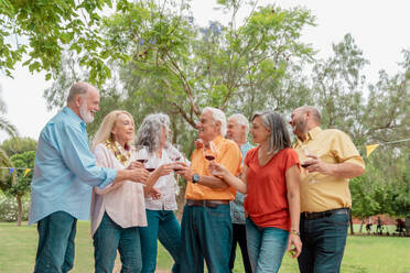 Group of happy middle aged friends standing in green park with glasses of wine and talking while celebrating birthday - ADSF46551