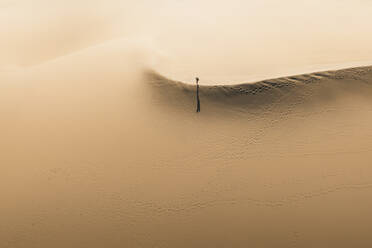 Aerial view of a person walking on a dune in Playa de Maspalomas, Gran Canaria, Spain. - AAEF19557